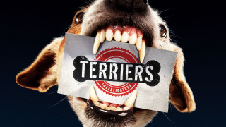 Terriers season 1