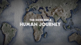 The Incredible Human Journey season 1