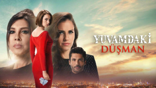 Сериал Враг в моем доме	