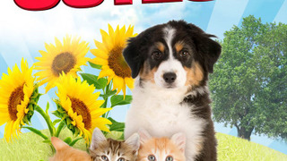 America's Cutest season 3