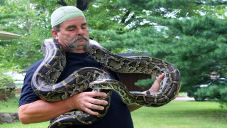 Show Fatal Attractions