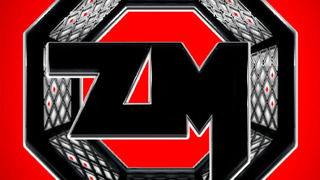 Show ЗВУКИ MMA