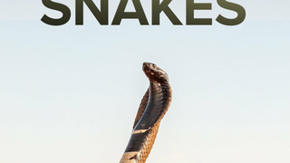 Сериал Extreme Snakes