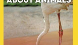 Everything You Didn't Know About Animals сезон 1