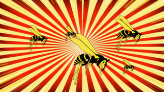 Show The Russell Brand Show