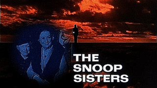 The Snoop Sisters season 1