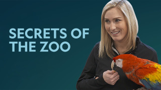 Secrets of the Zoo сезон 3