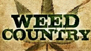 Show Weed Country