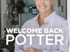 Welcome Back Potter сезон 1