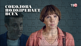 Сериал Соколова подозревает всех