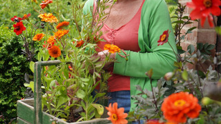 Show Summer Gardening with Carol Klein