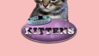 Meet the Kittens season 1