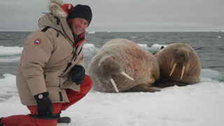 Polar Bear Week with Nigel Marven сезон 1