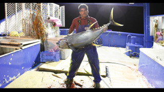 Сериал Hardliners