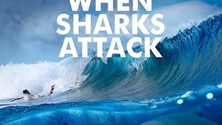 When Sharks Attack сезон 1