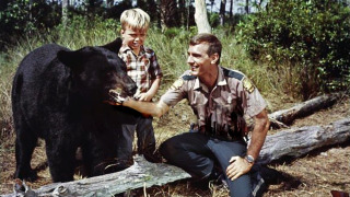 Сериал Gentle Ben