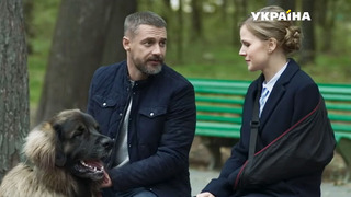 Сериал Год собаки