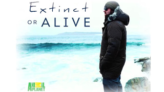 Extinct or Alive сезон 1