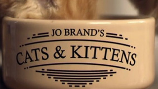 Jo Brand's Cats and Kittens season 1