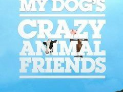 My Dog's Crazy Animal Friends сезон 1