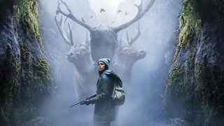 Сериал Мёртвая зона