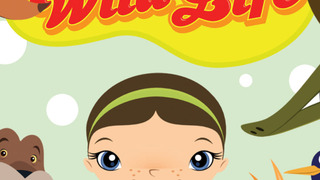 Show Willa's Wild Life