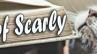Books of Scarly season 4