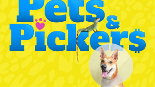 Сериал Pets & Pickers