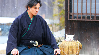 Самурай и кошка сезон 2
