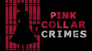 Pink Collar Crimes season 1