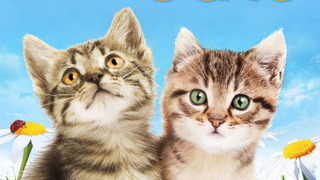 Симпатичные котята и щенки сезон 5