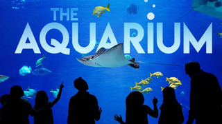 The Aquarium сезон 2