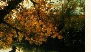 Show A Passion for Angling