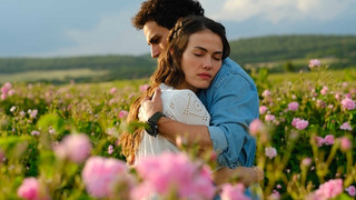 Сериал Сказка о розе