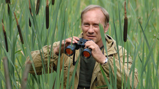 Show Северный ветер