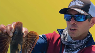 Fish My City with Mike Iaconelli season 1