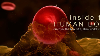 Внутри человеческого тела	 сезон 1