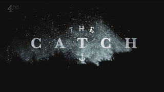 Show The Catch