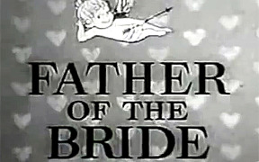 Father of the Bride season 1