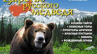 Show Realms of the Russian Bear