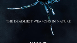 Сериал Wild Assassins
