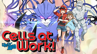 Anime Cells at Work!