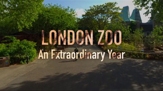 London Zoo: An Extraordinary Year season 1