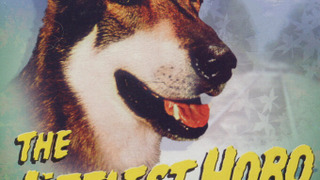 Сериал The Littlest Hobo