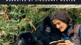 Dian Fossey: Secrets in the Mist сезон 1