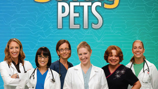 Vets Saving Pets сезон 2