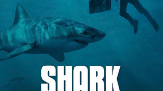 Shark Tank сезон 2