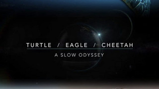 Show Turtle, Eagle, Cheetah: A Slow Odyssey