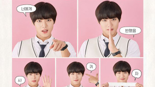 Show Love Revolution