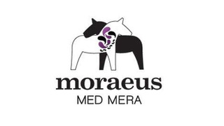 Moraeus Med Mera season 1